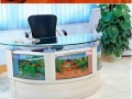 Creative aquariums