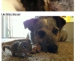 Warning, heart will melt