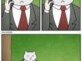 Business cat