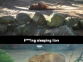 Went to the zoo