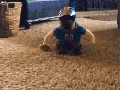 The running bark