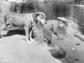 People with their animals