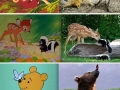Disney in real life