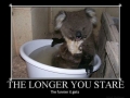 Keep staring