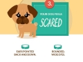 Decoding your dog