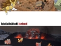 Pokemon GO