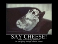Say cheese