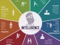Types of intelligence