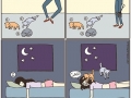 Reality of owning a cat