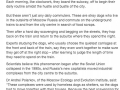 Dogs in Russia