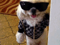 He just wants to party