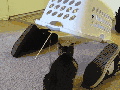 This is a trap!