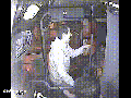 Guy tries stealing purse