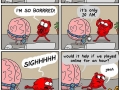 Heart Vs. Brain