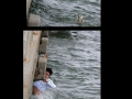 Humanity