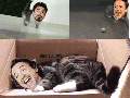 Robert Meowney Jr.