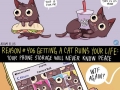 How a cat ruins your life