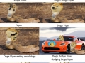 Very dogeception