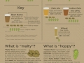 How to be a beer expert