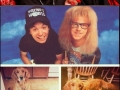 Oddly familiar dogs