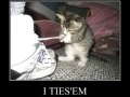 I ties 'em