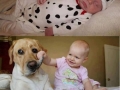 Why kids need pets