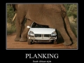 Planking