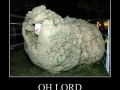 Oh Lord!