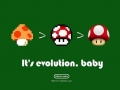 Evolution