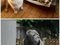 'I made this' compilation