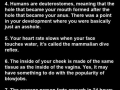 Human body facts