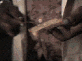 Troll physics