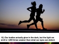 Human body facts