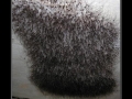Hair