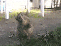 U wot sqrl