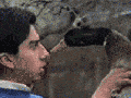 Trying to kiss a duck