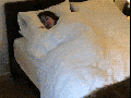 Trying to sleep