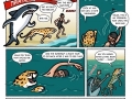 Shark vs cheetah vs man
