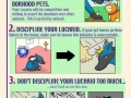 Guide to owning a Lucario