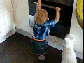 Kitty saves the day