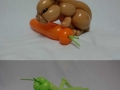 Balloon animals