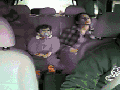 Wear a seatbelt