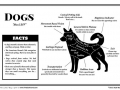 Dogs