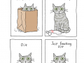 Making your cat happy