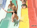 Wet, wild, and wonderful