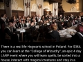 Time to become a wizard!