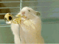 Hamster party