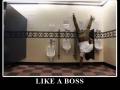 Like a boss!