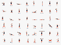 Learn how to gym