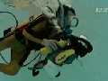 Scuba diving cat